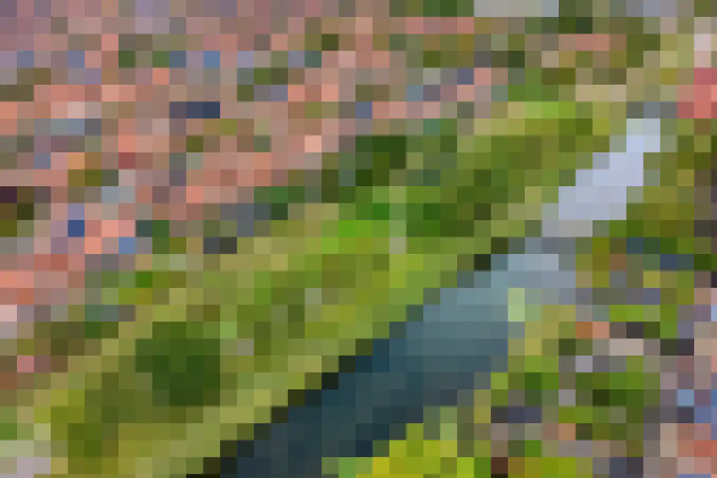 Schilp acker 21 Heemskerk thumbnail 5