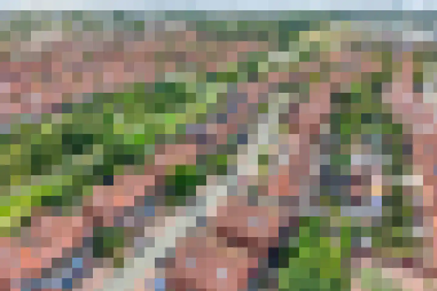 Schilp acker 21 Heemskerk thumbnail 6