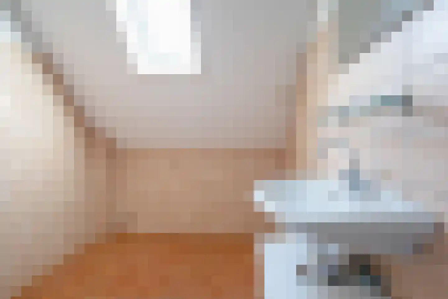 Schilpbanck 30 Den Burg thumbnail 22