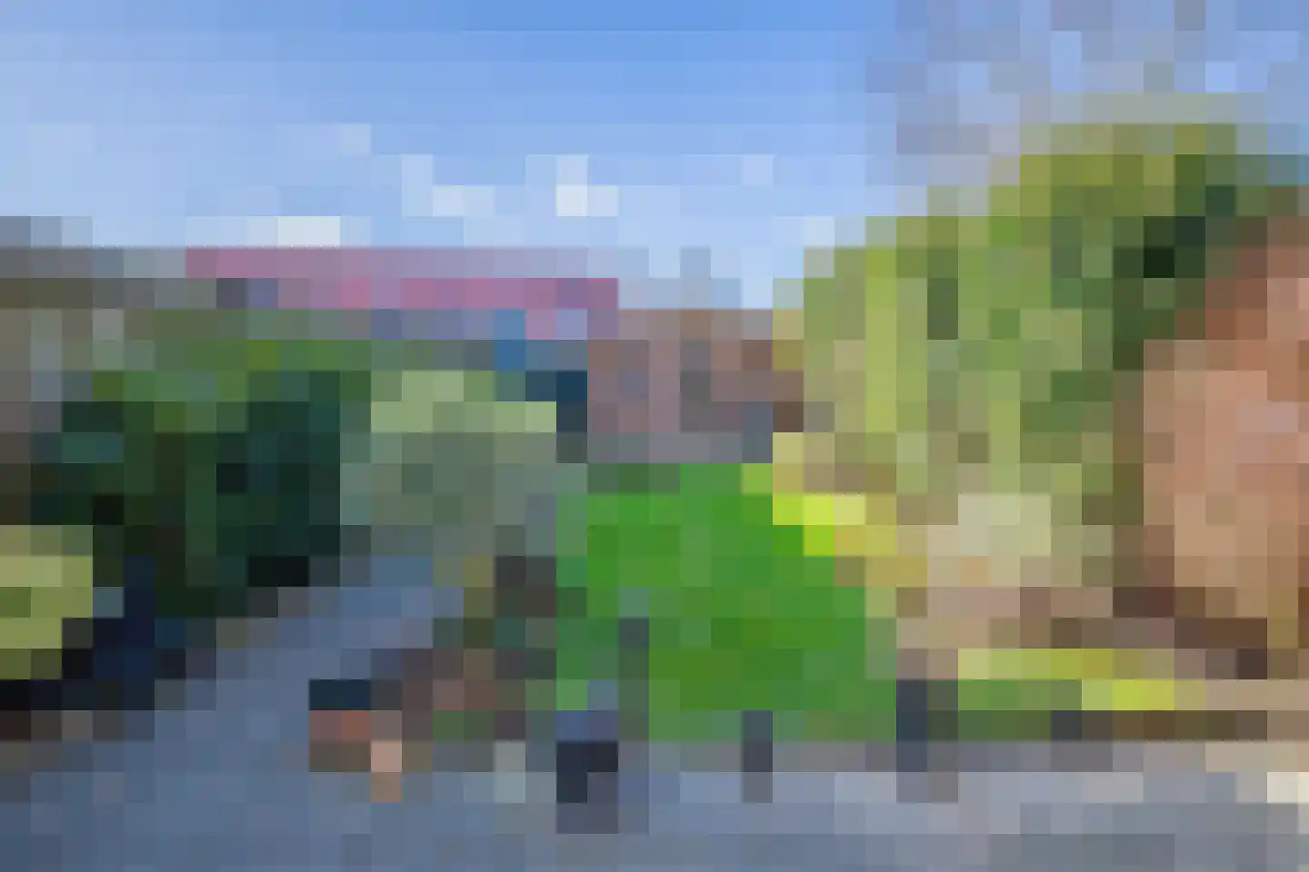 Schilpbanck 30 Den Burg thumbnail 29