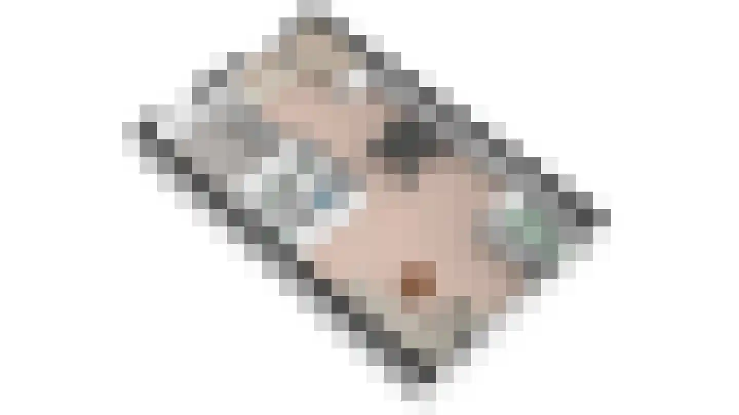 Schilpbanck 30 Den Burg thumbnail 34