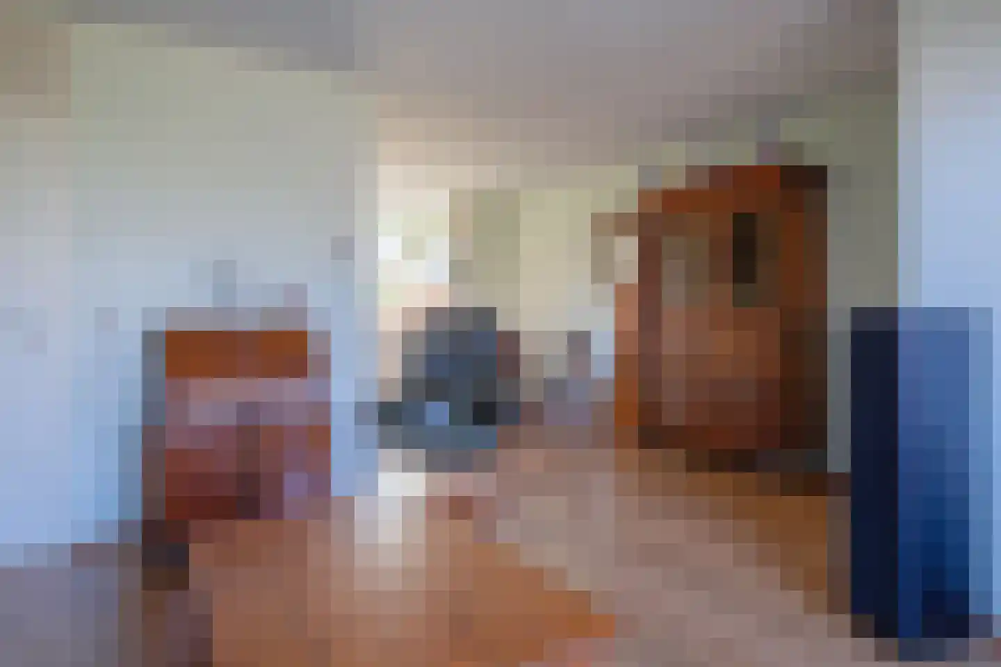 Schilpbanck 30 Den Burg thumbnail 5