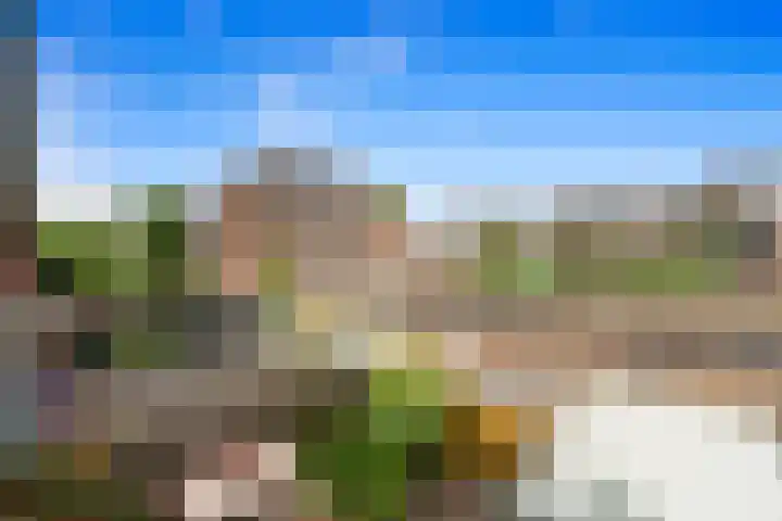 Schilperoortstraat 100 B Rotterdam thumbnail 20