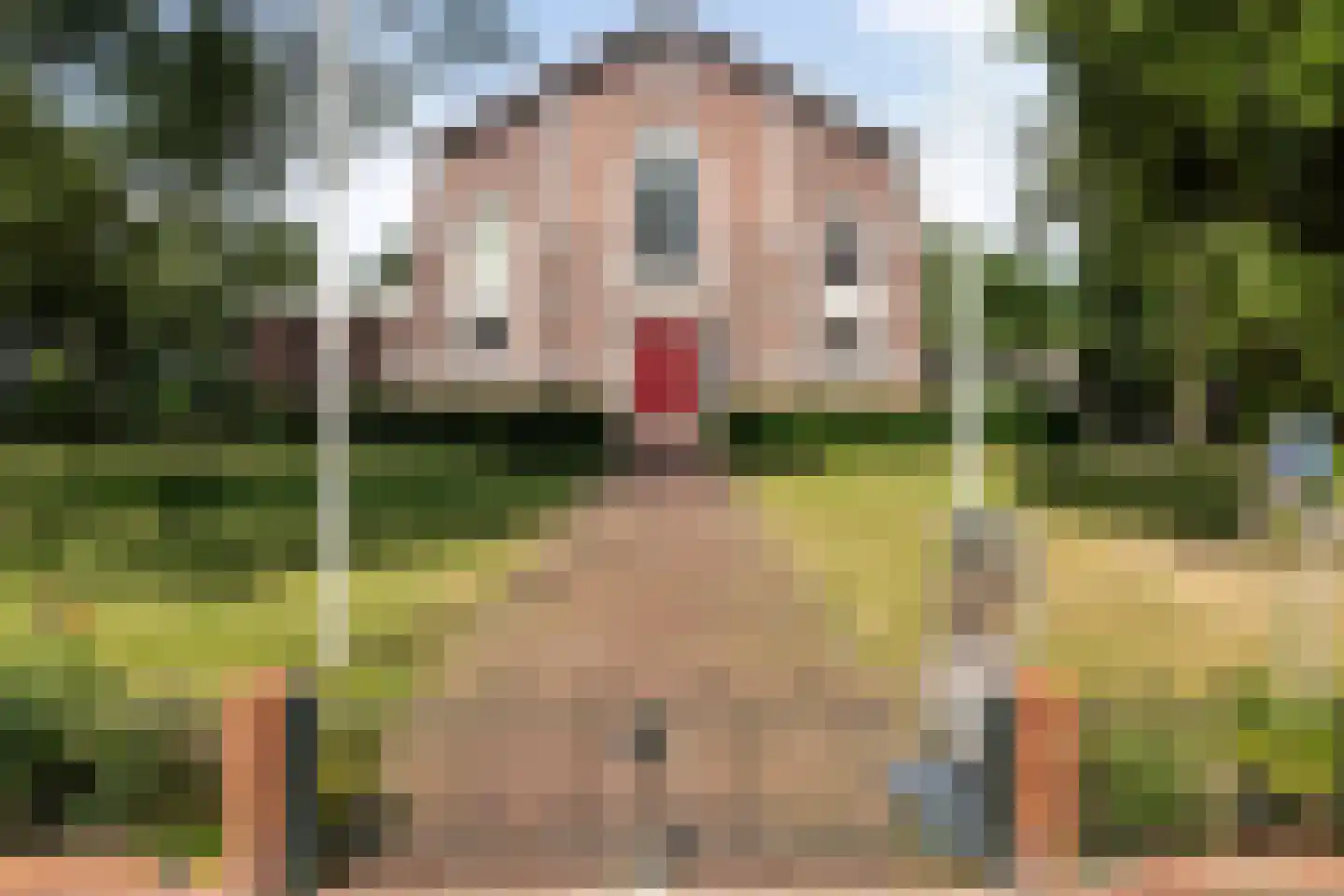 Schilperoortstraat 45 A Rotterdam thumbnail 33