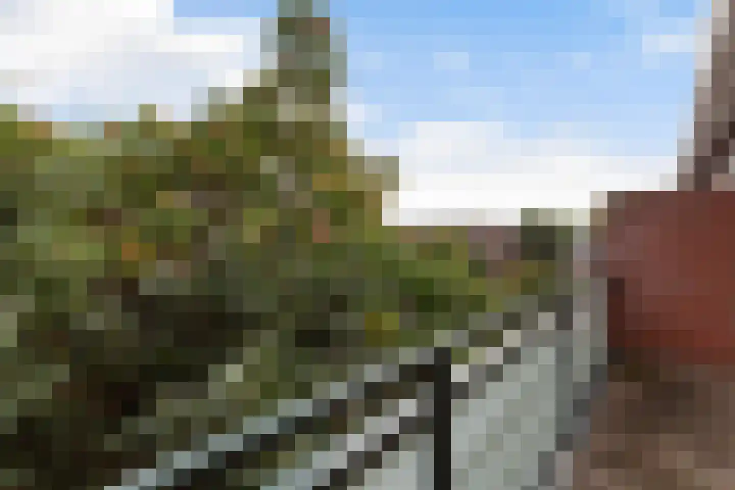 Schilperoortstraat 68 A 02 Rotterdam thumbnail 33