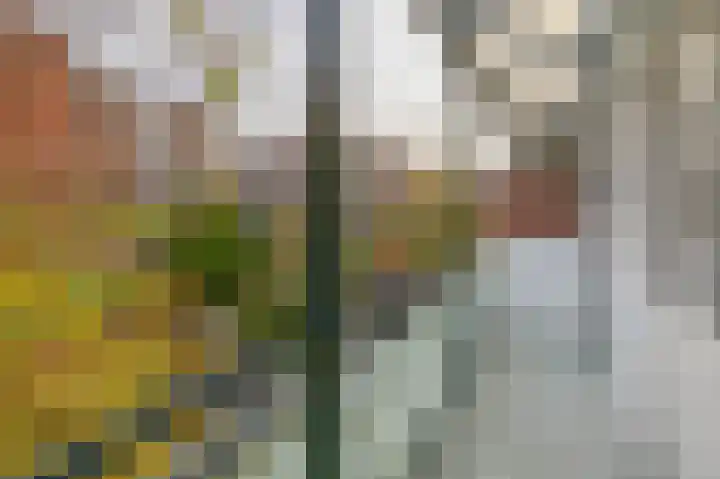 Schilperoortstraat 70 A Rotterdam thumbnail 22