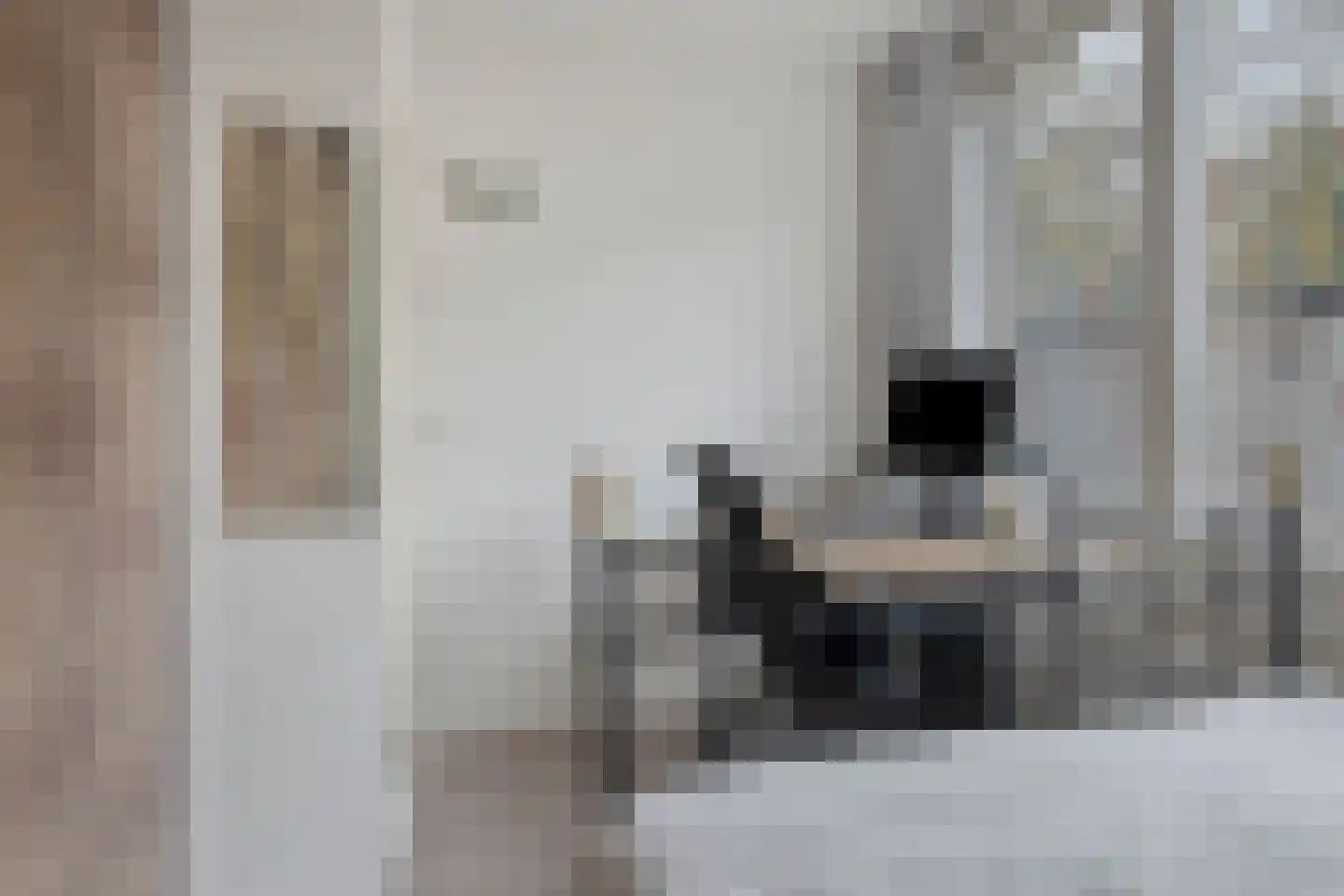 Schilperoortstraat 91 A Rotterdam thumbnail 15