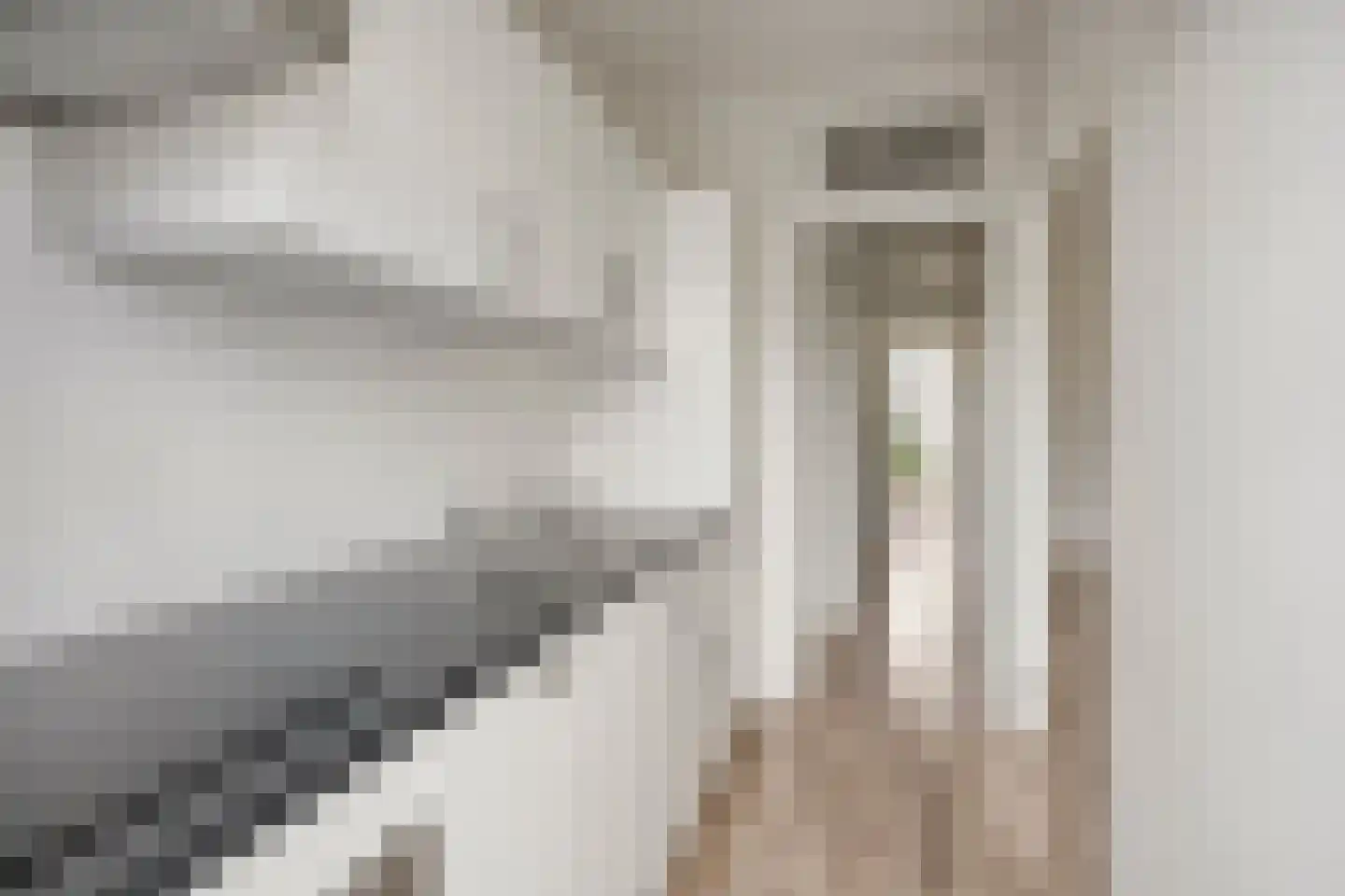 Schilperoortstraat 94 B 02 Rotterdam thumbnail 11