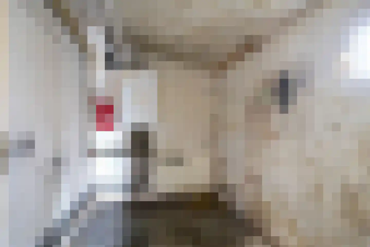 Schilterstraat 55 Simpelveld thumbnail 13