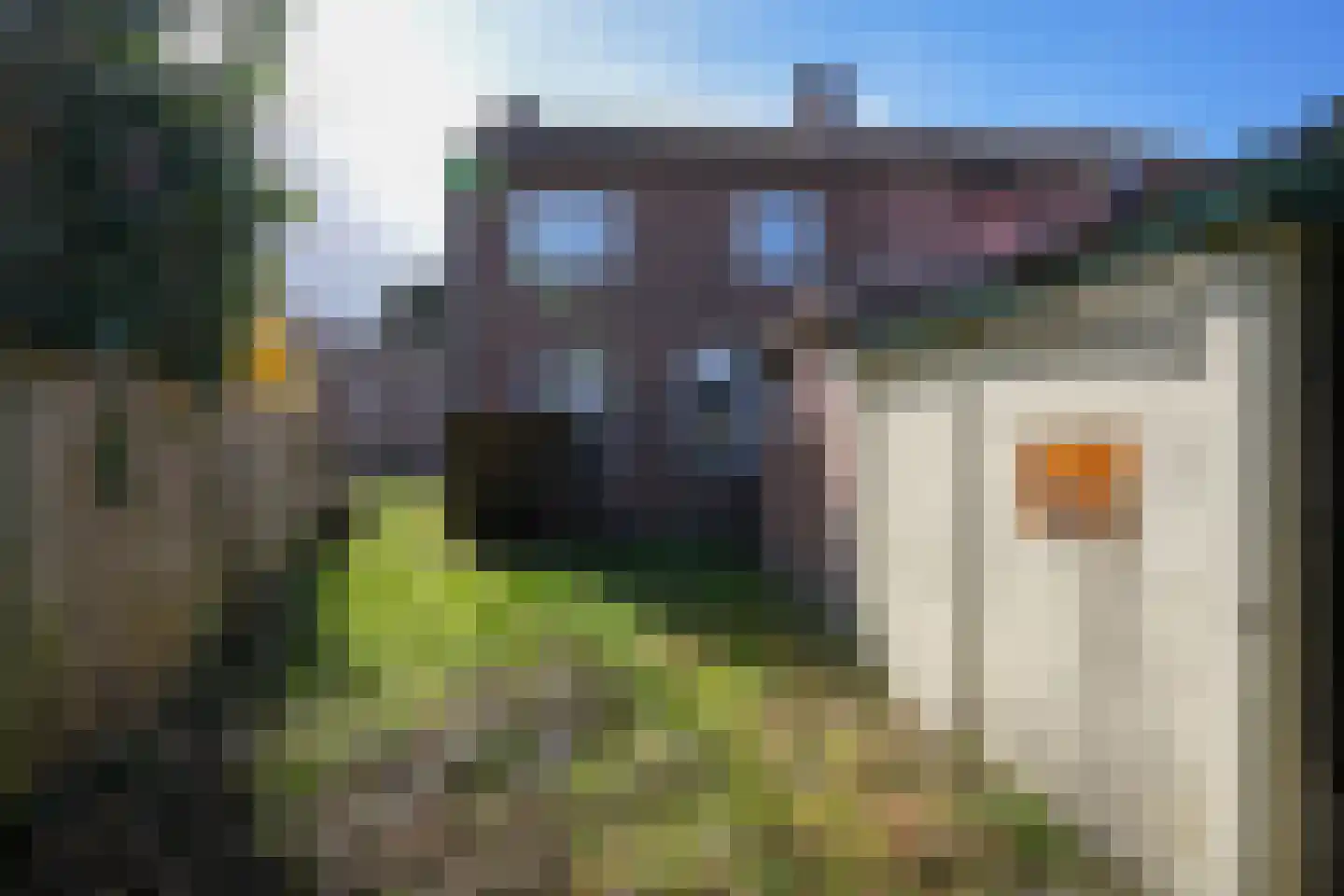 Schilterstraat 55 Simpelveld thumbnail 5