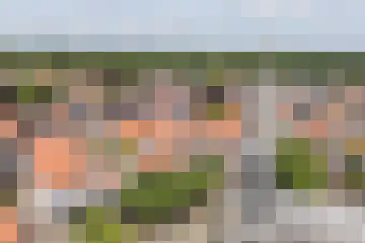 Schiltstraat 1 A Ootmarsum thumbnail 33