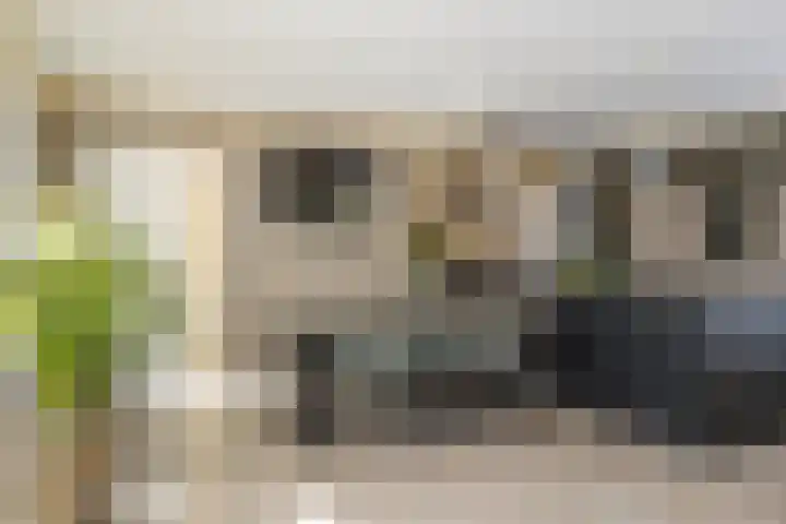 Schimmelpenninck van der Oyehof 7 Ootmarsum thumbnail 15