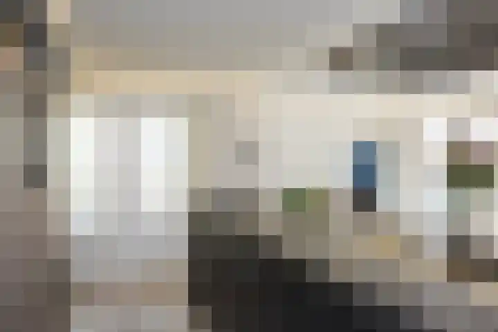 Schimmelpenninck van der Oyehof 7 Ootmarsum thumbnail 20