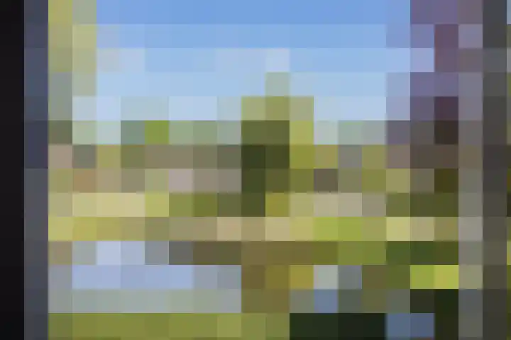 Schimmelpenninck van der Oyehof 7 Ootmarsum thumbnail 24
