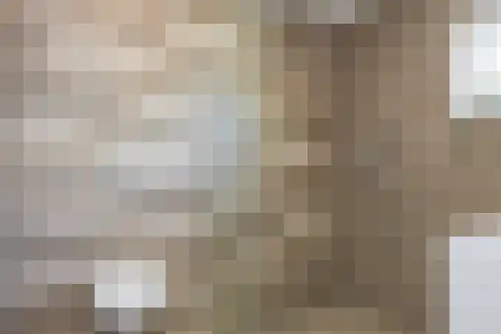 Schimmelpenninck van der Oyehof 7 Ootmarsum thumbnail 27