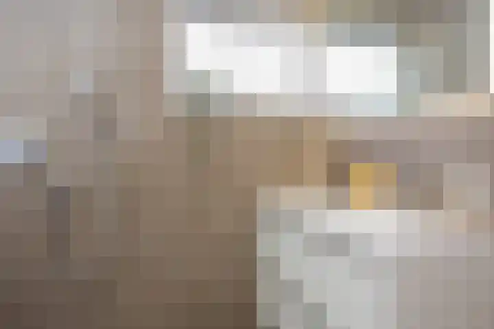 Schimmelpenninck van der Oyehof 7 Ootmarsum thumbnail 28