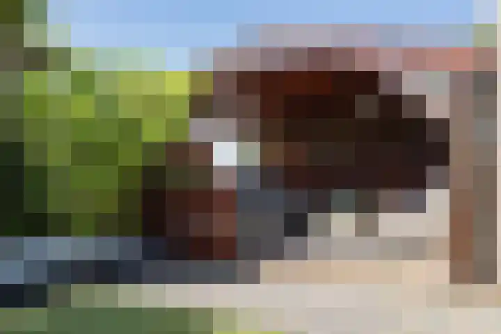 Schimmelpenninck van der Oyehof 7 Ootmarsum thumbnail 31