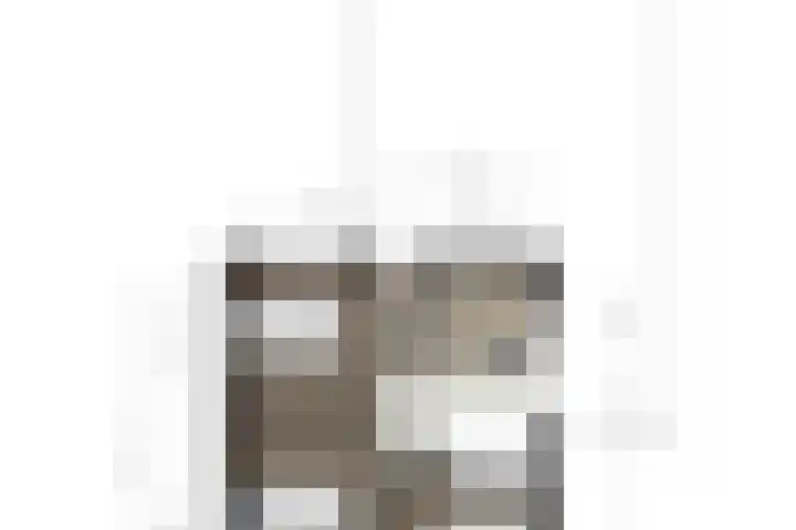 Schimmelpenninck van der Oyehof 7 Ootmarsum thumbnail 36