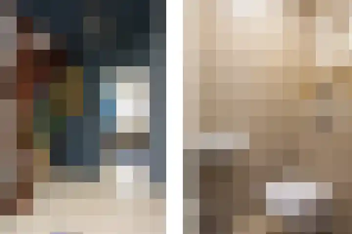 Schimmelpenninck van der Oyehof 7 Ootmarsum thumbnail 7