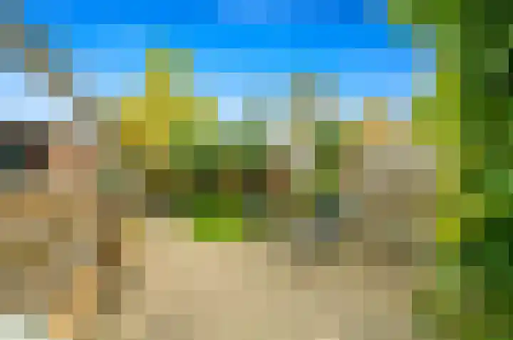 Schimmelpenninck van der Oyeweg 16 Delfgauw thumbnail 16