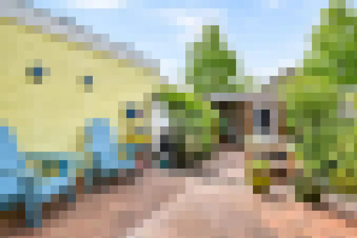 Schimmelpenninck van der Oyeweg 34 Delfgauw thumbnail 13