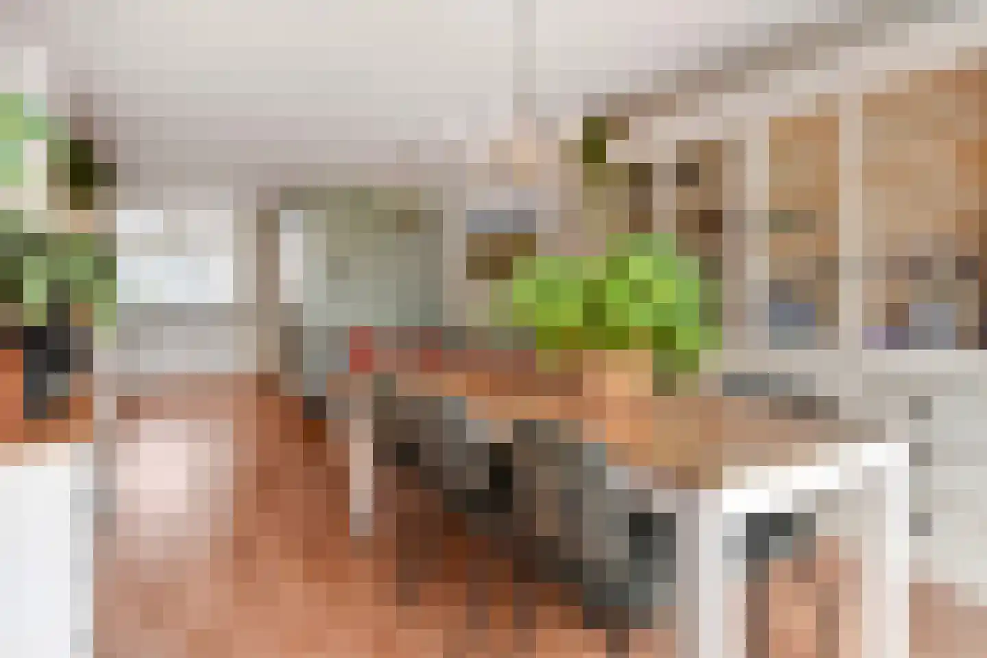 Schimmelpenninck van der Oyeweg 34 Delfgauw thumbnail 17