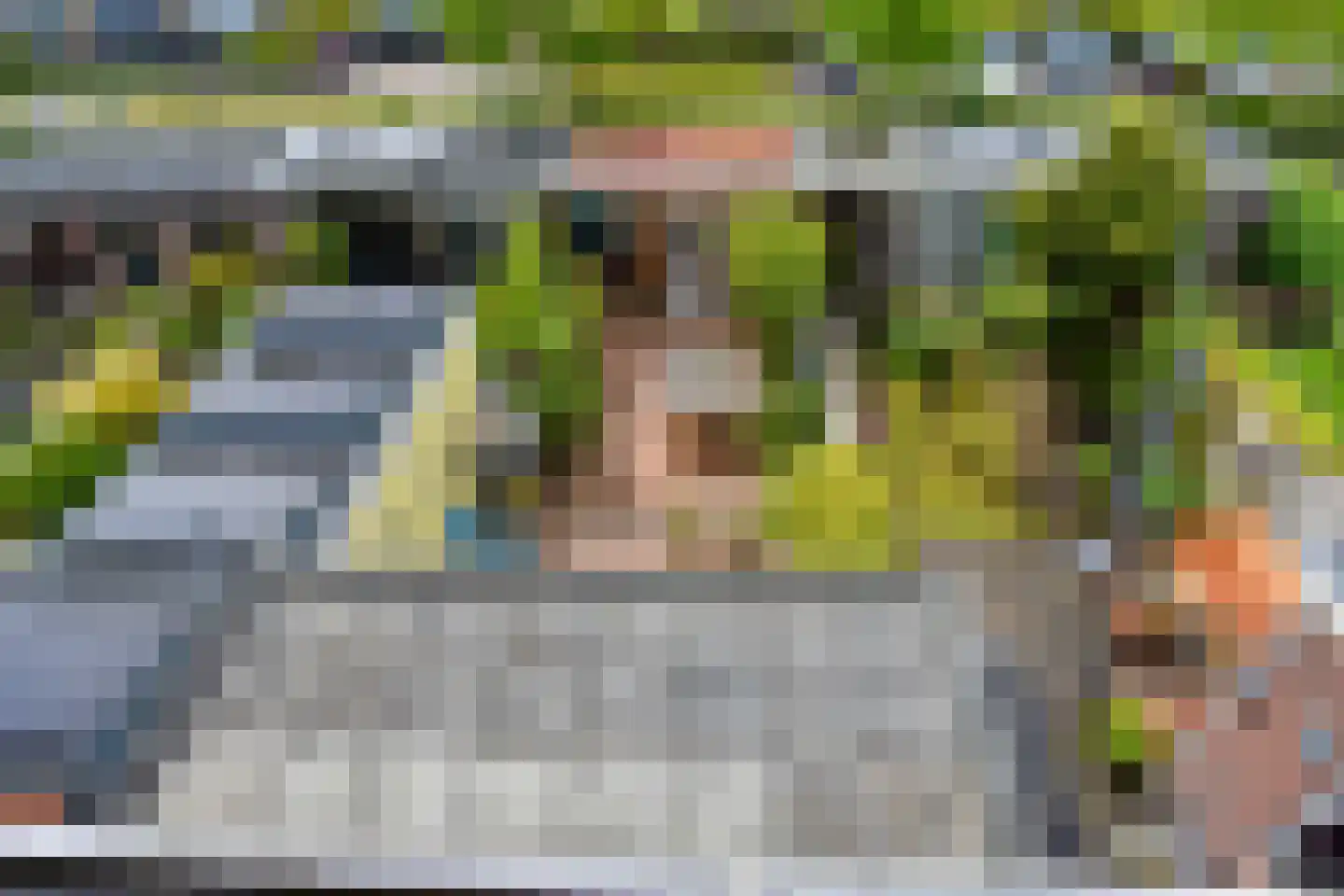 Schimmelpenninck van der Oyeweg 34 Delfgauw thumbnail 28