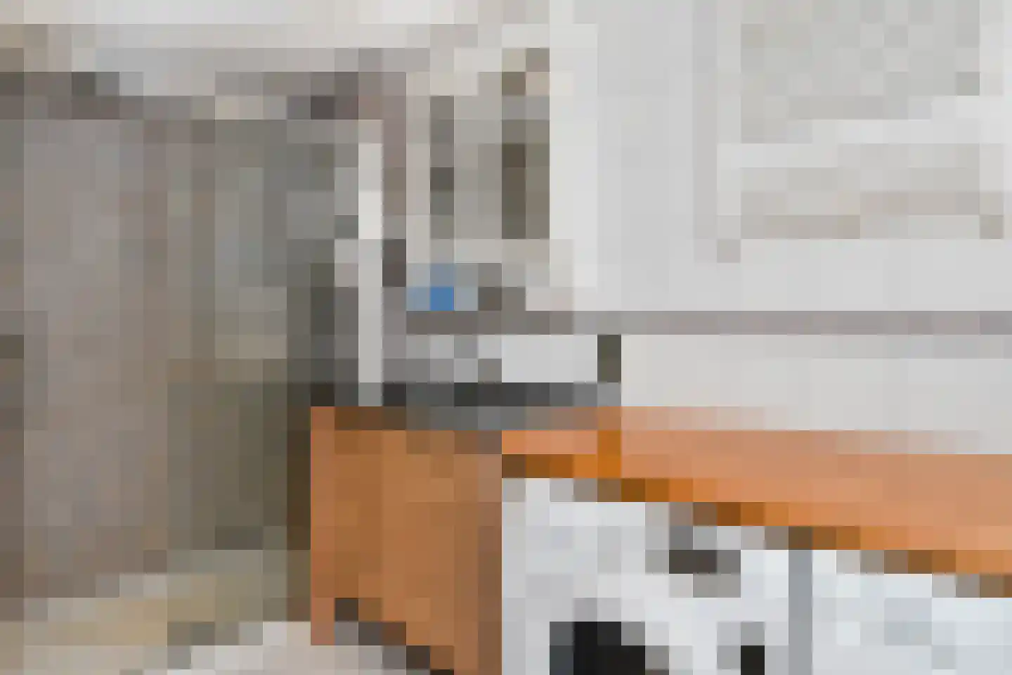 Schimmelpenninck van der Oyeweg 34 Delfgauw thumbnail 33