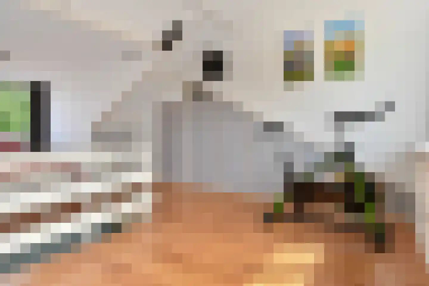 Schimmelpenninck van der Oyeweg 34 Delfgauw thumbnail 39