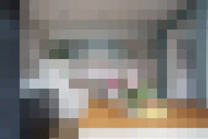 Schimmelpenninck van der Oyeweg 40 Delfgauw thumbnail 10