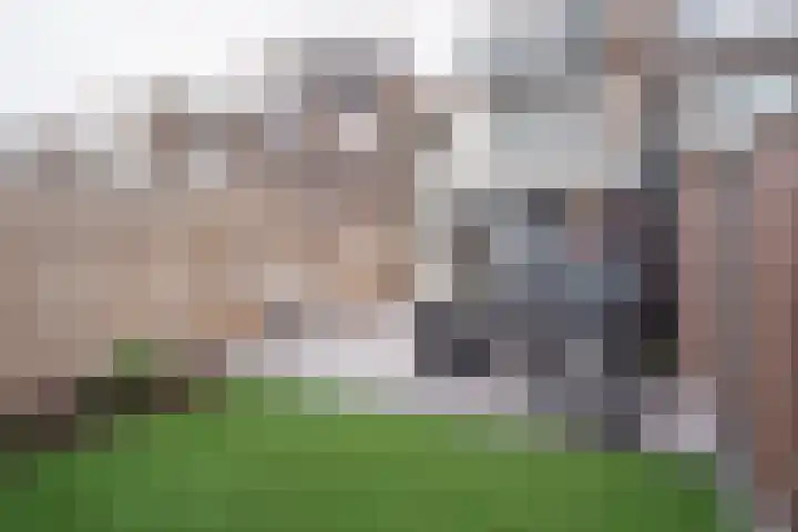 Schimmelpenninck van der Oyeweg 40 Delfgauw thumbnail 14
