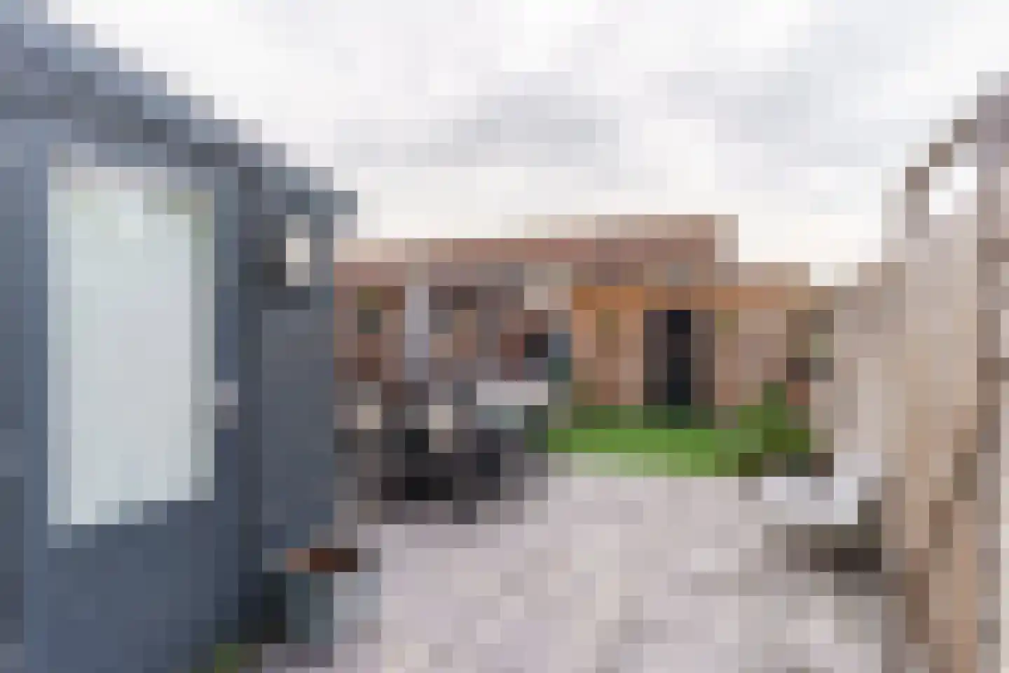 Schimmelpenninck van der Oyeweg 40 Delfgauw thumbnail 14