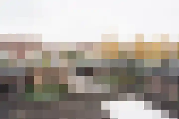 Schimmelpenninck van der Oyeweg 40 Delfgauw thumbnail 16