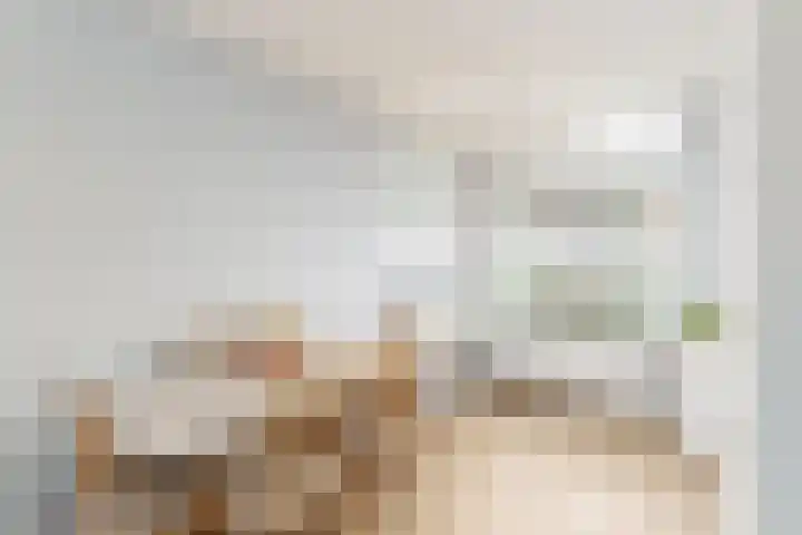 Schimmelpenninck van der Oyeweg 40 Delfgauw thumbnail 5