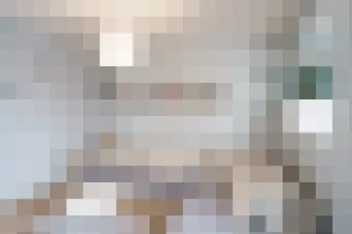 Schimmelpenninck van der Oyeweg 40 Delfgauw thumbnail 8