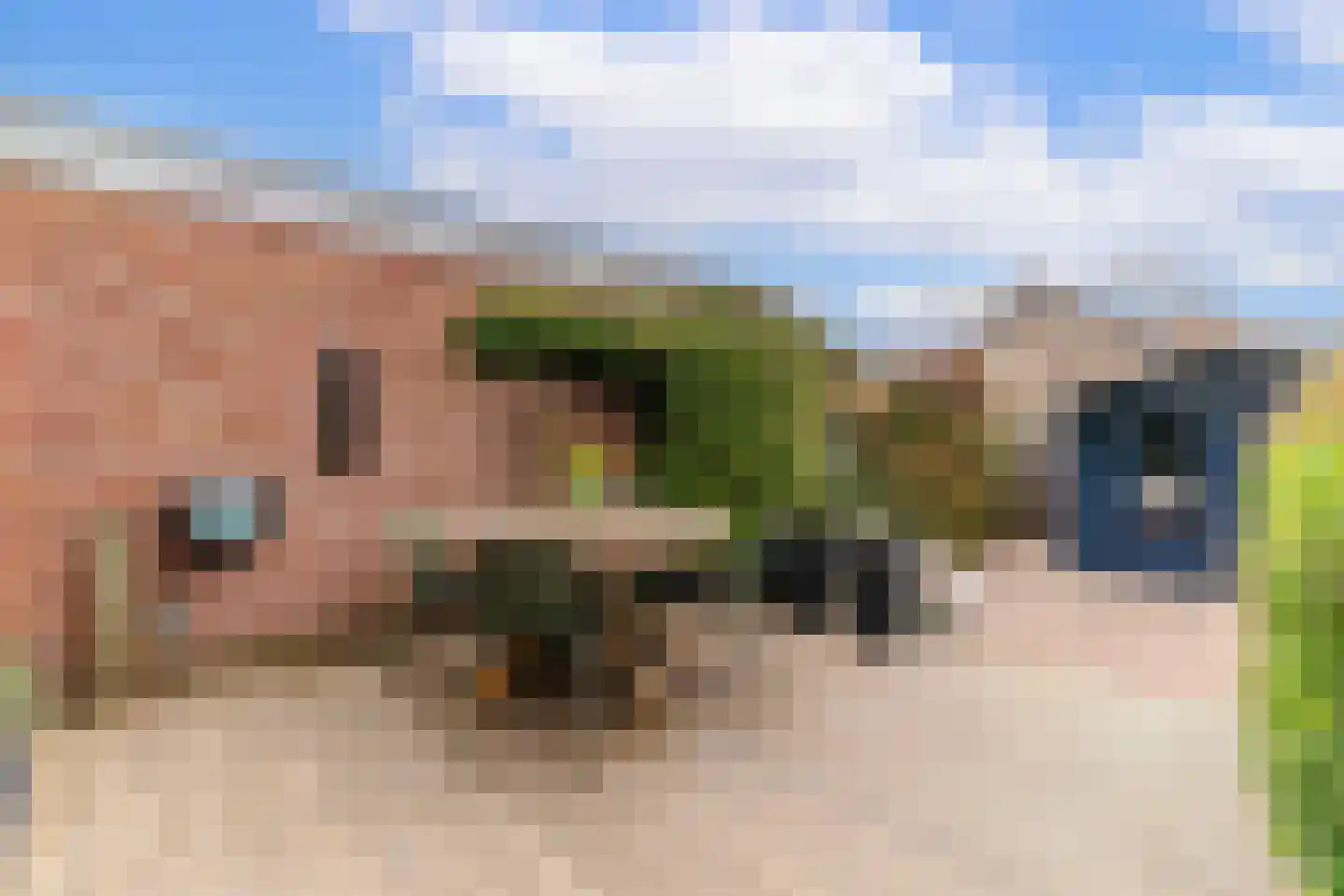Schimmelpenninck van der Oyeweg 64 Delfgauw thumbnail 12