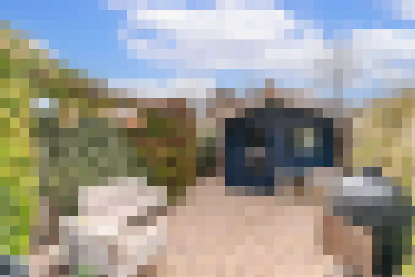 Schimmelpenninck van der Oyeweg 64 Delfgauw thumbnail 13