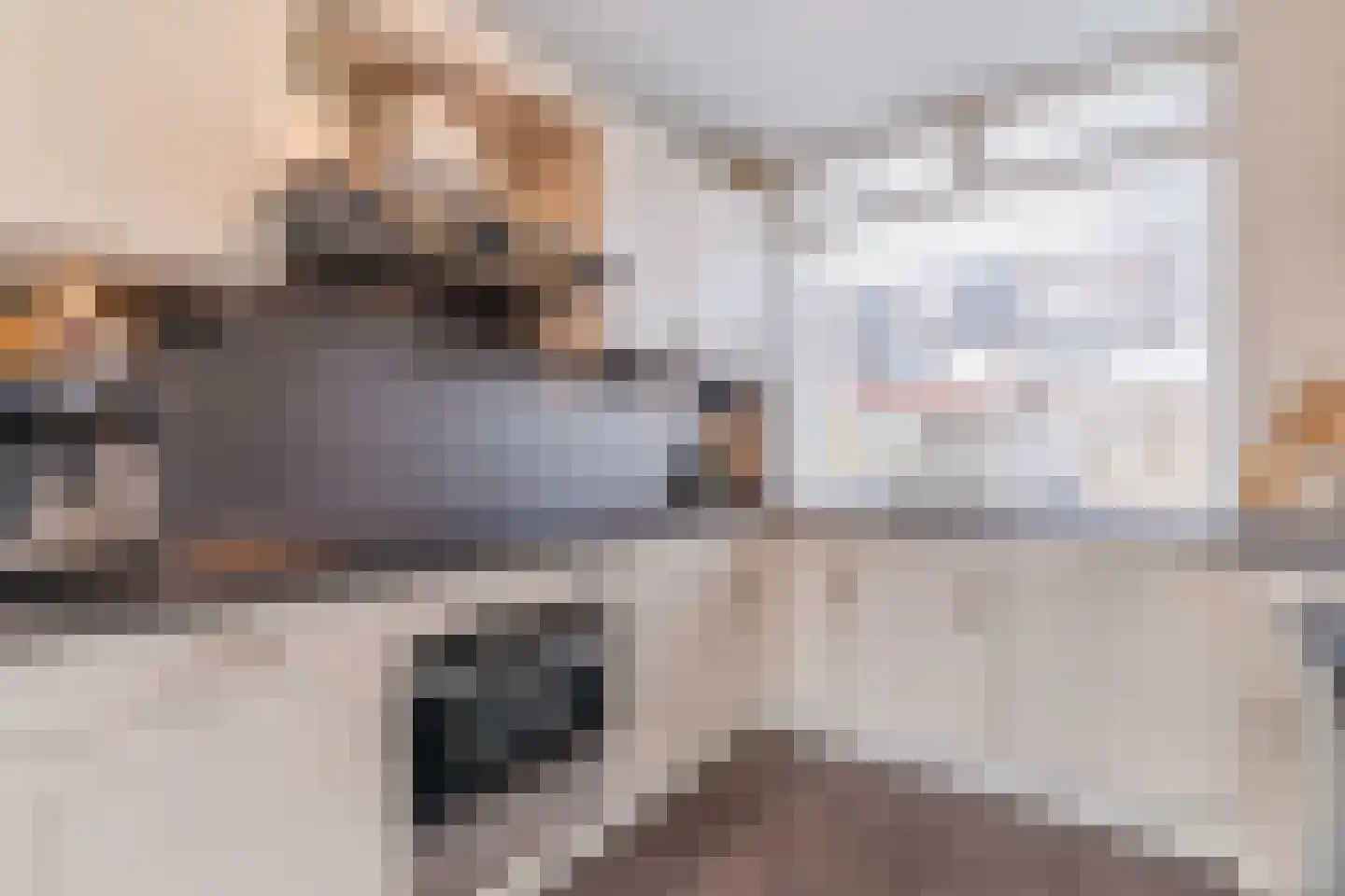 Schimmelpenninck van der Oyeweg 64 Delfgauw thumbnail 21