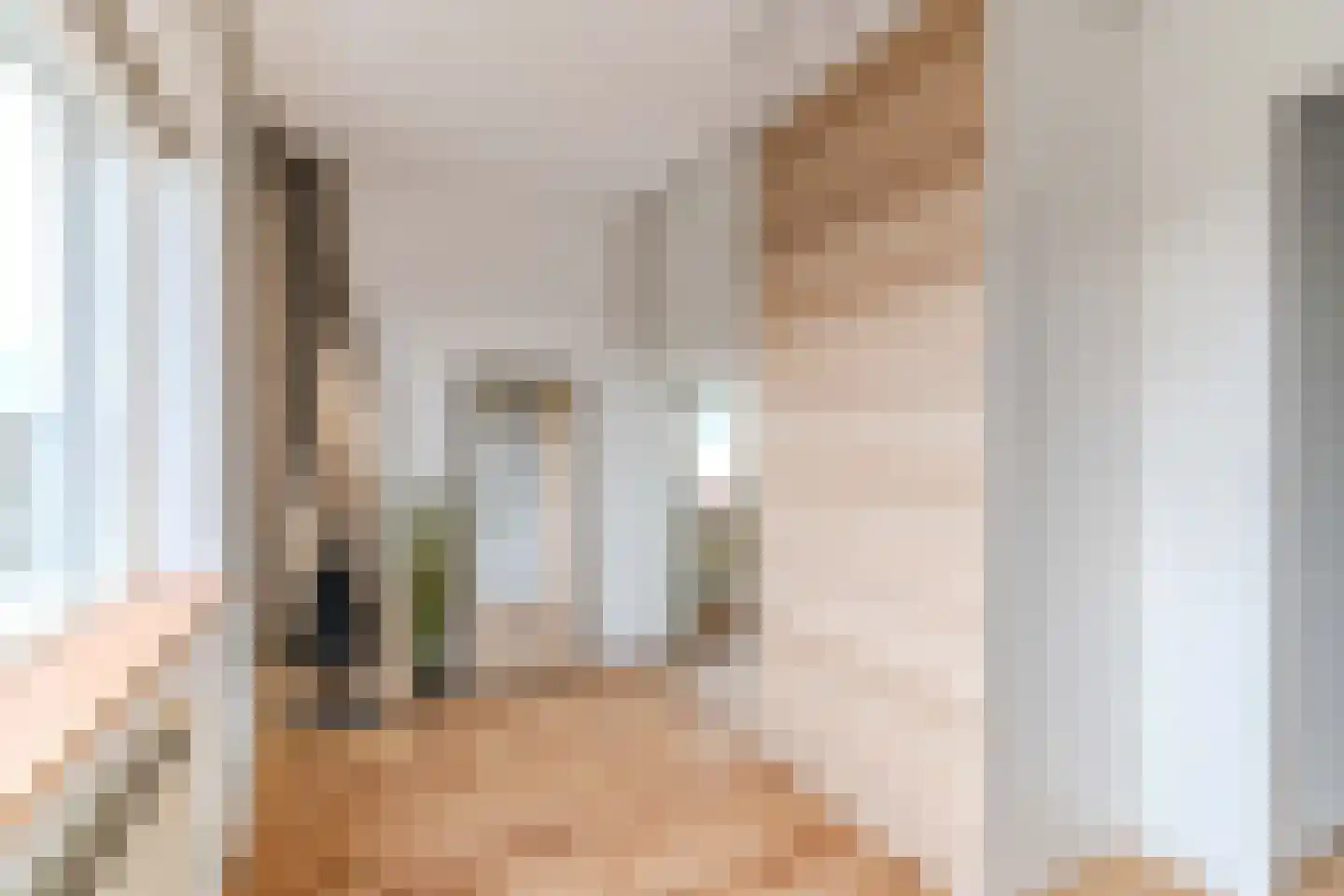 Schimmelpenninck van der Oyeweg 64 Delfgauw thumbnail 26