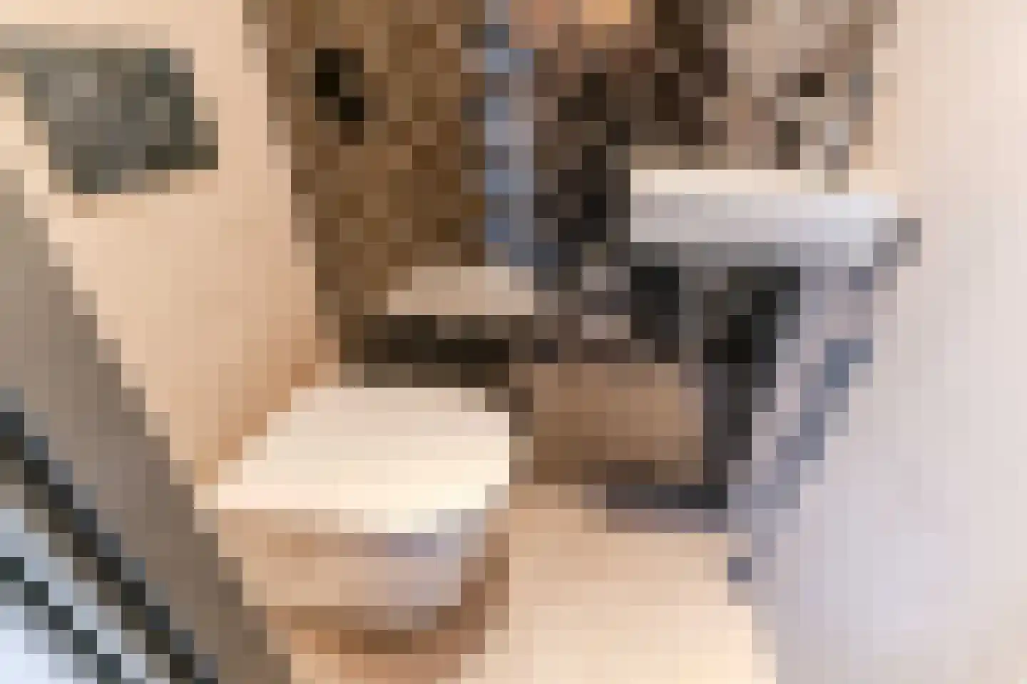 Schimmelpenninck van der Oyeweg 64 Delfgauw thumbnail 8