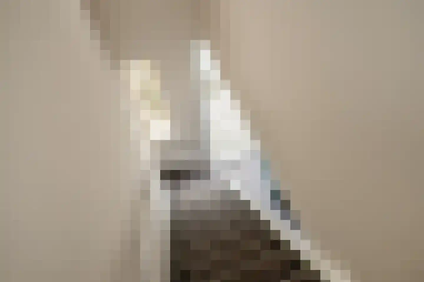 Schimmelpenninck van der Oyeweg 66 Delfgauw thumbnail 18