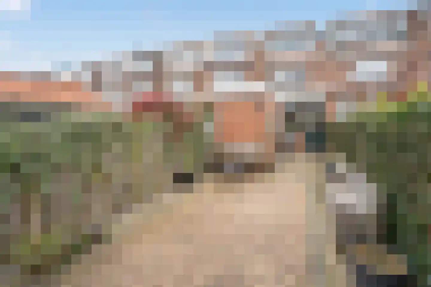 Schimmelpenninck van der Oyeweg 66 Delfgauw thumbnail 4