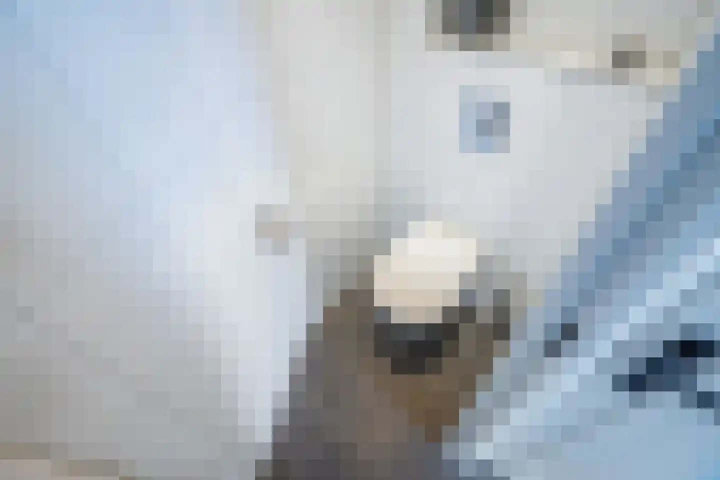 Schimmelpenninck van der Oyeweg 66 Delfgauw thumbnail 7