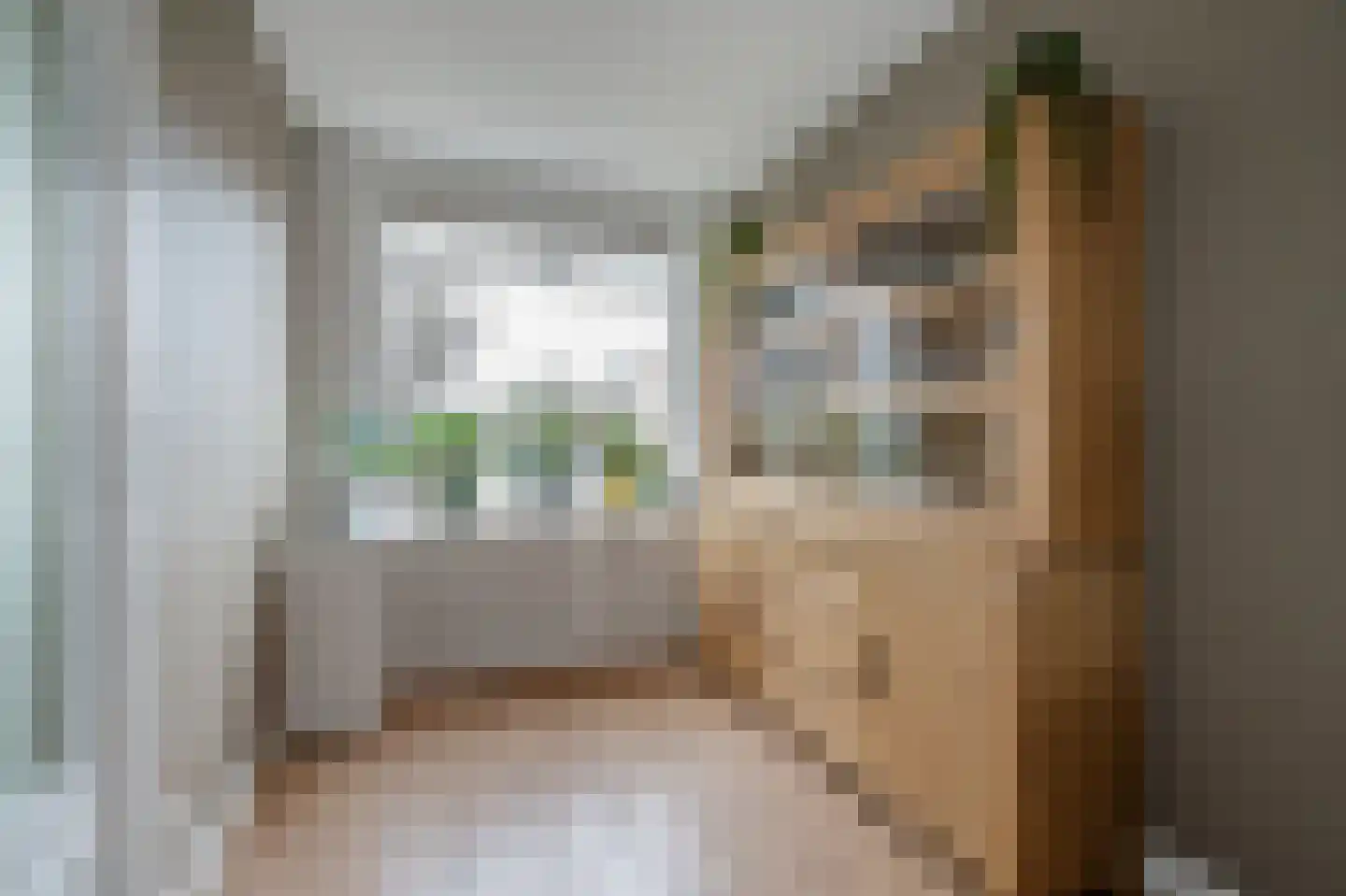 Schimmelpenninck van der Oyeweg 66 Delfgauw thumbnail 9