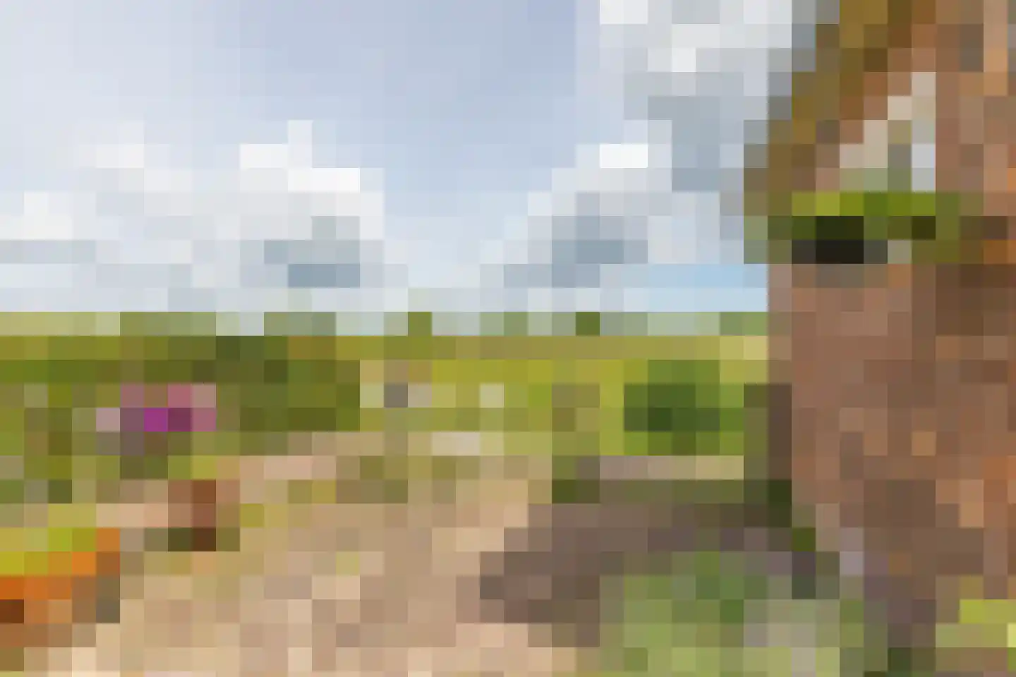Schimmelpenninckhof 11 Ankeveen thumbnail 25