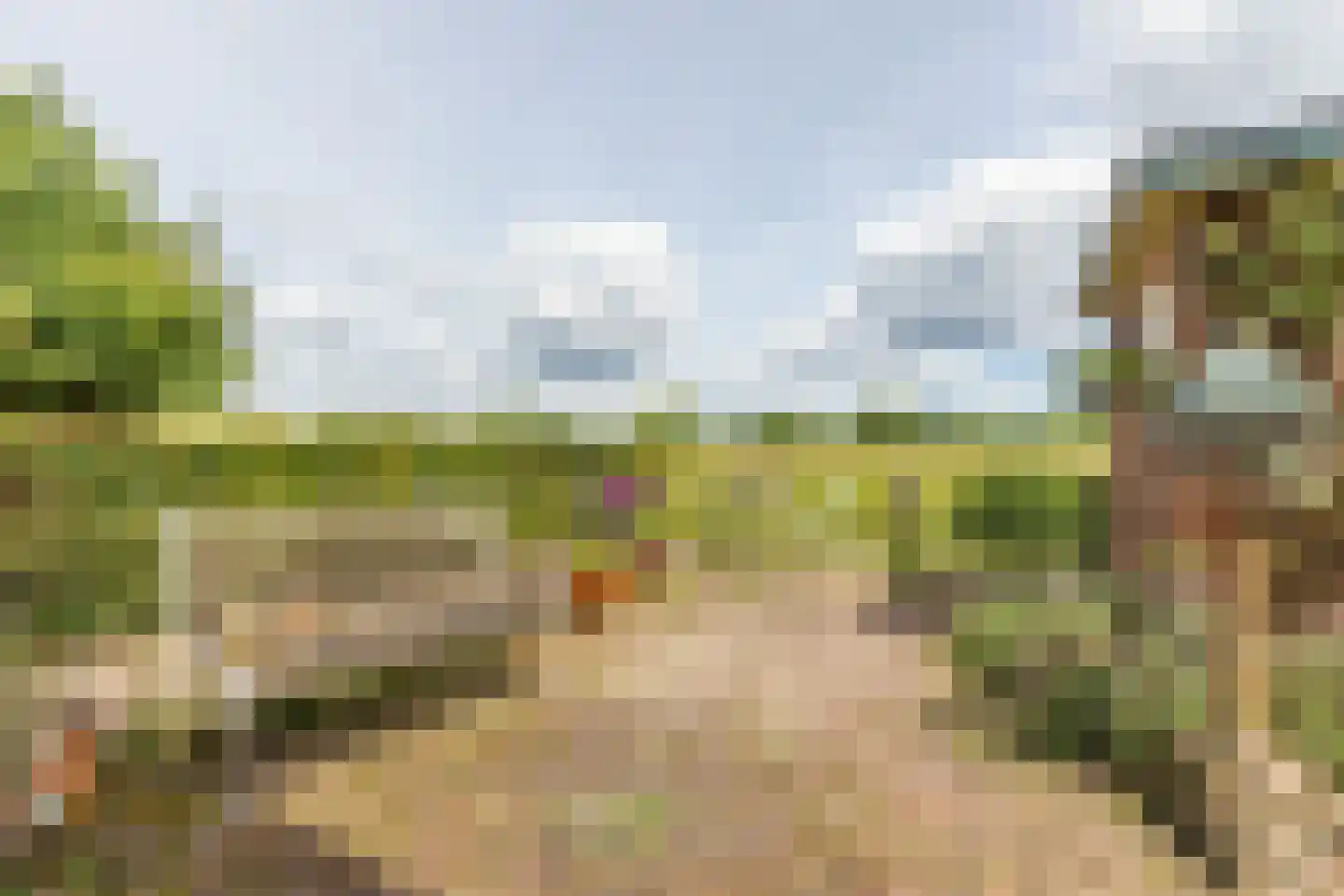 Schimmelpenninckhof 11 Ankeveen thumbnail 26