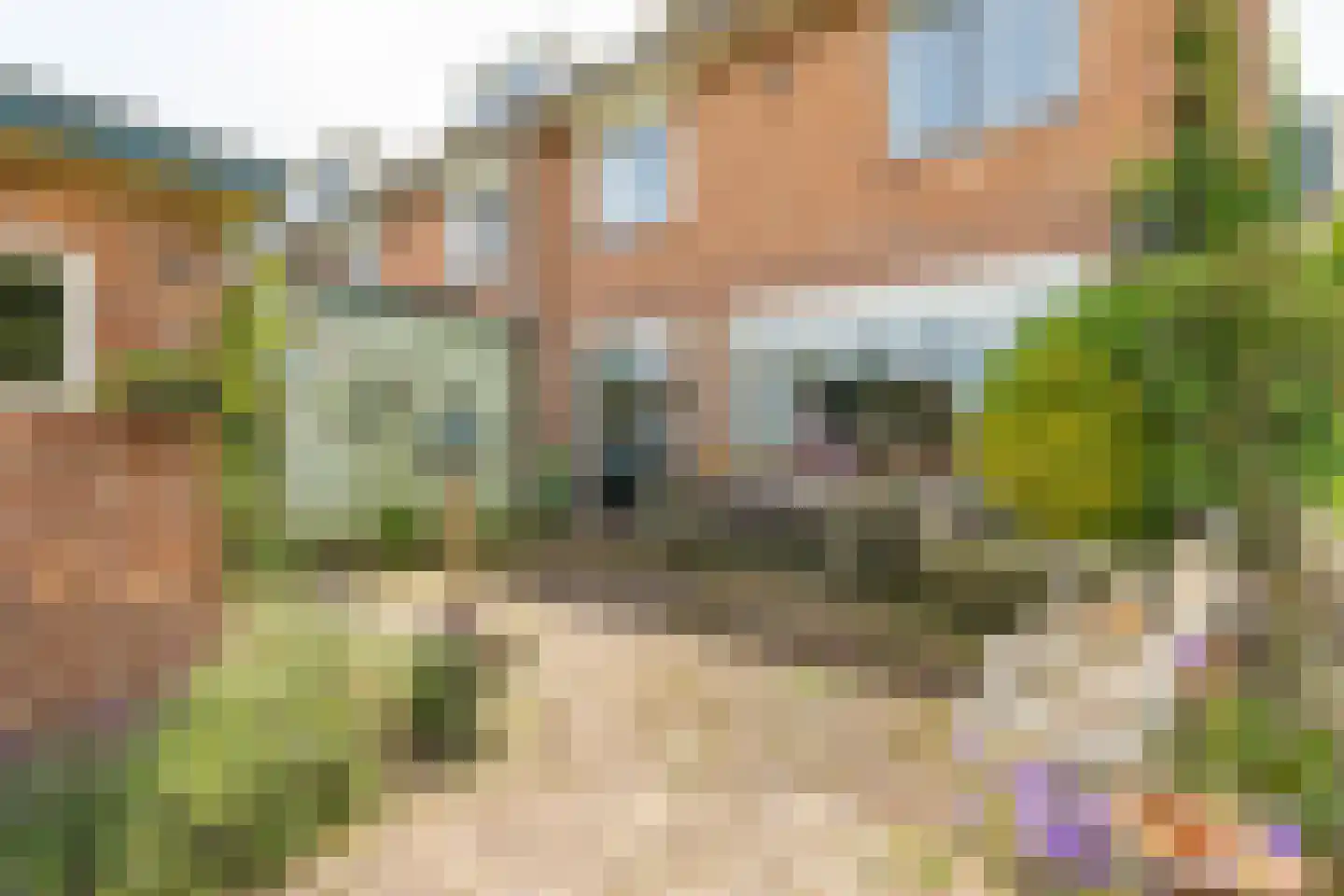 Schimmelpenninckhof 11 Ankeveen thumbnail 29