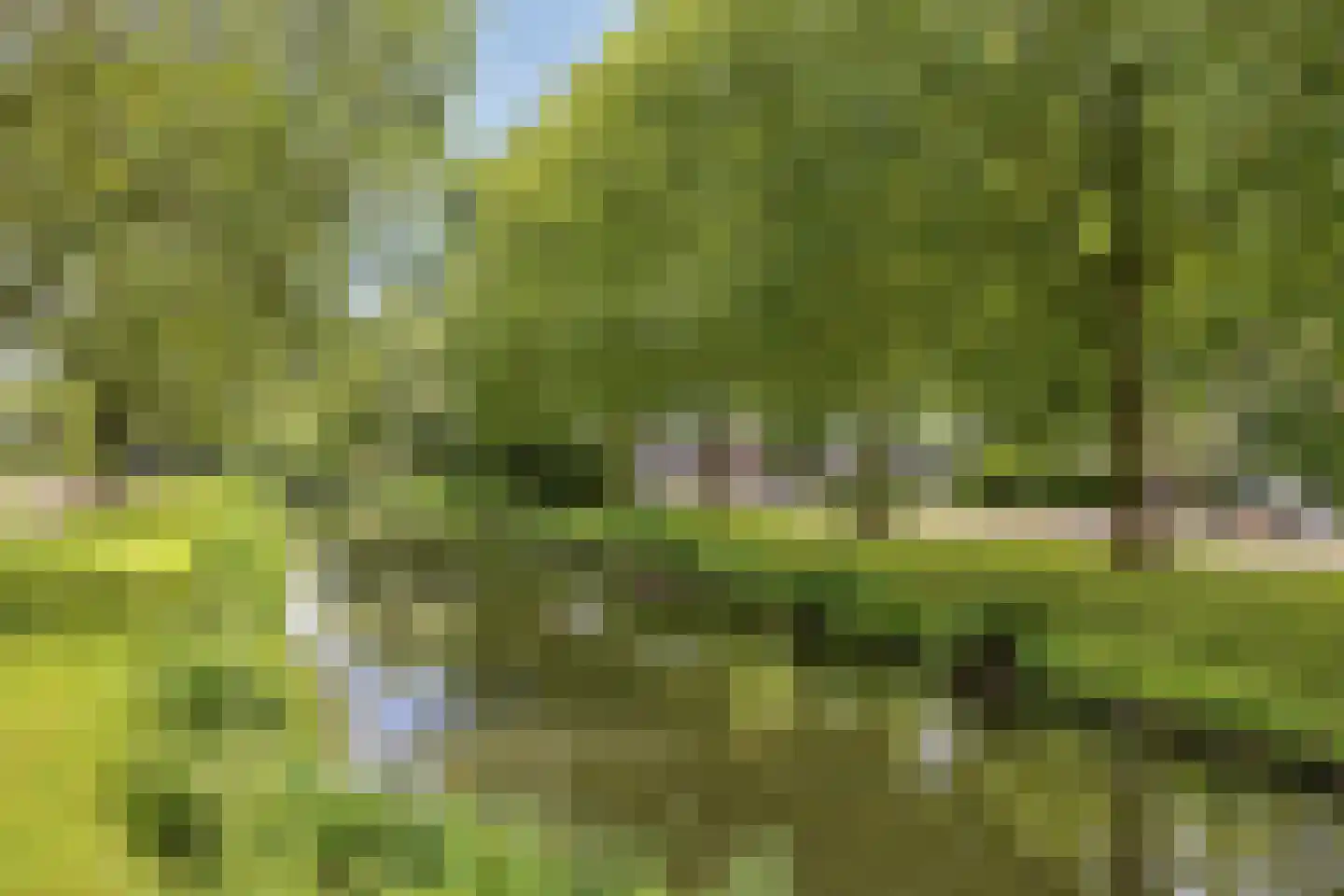 Schimmelpennincklaan 1 Gorinchem thumbnail 23