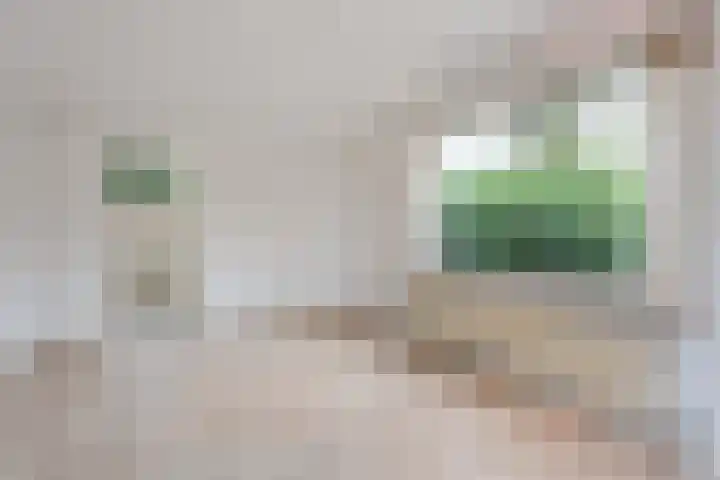 Schimmelpennincklaan 1 Putten thumbnail 14