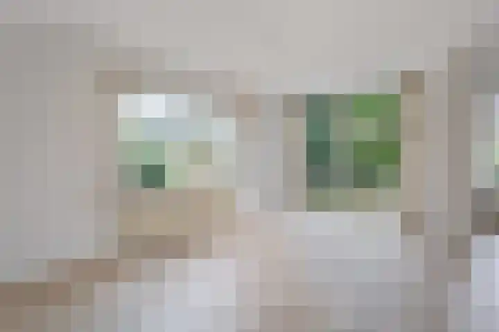 Schimmelpennincklaan 1 Putten thumbnail 18